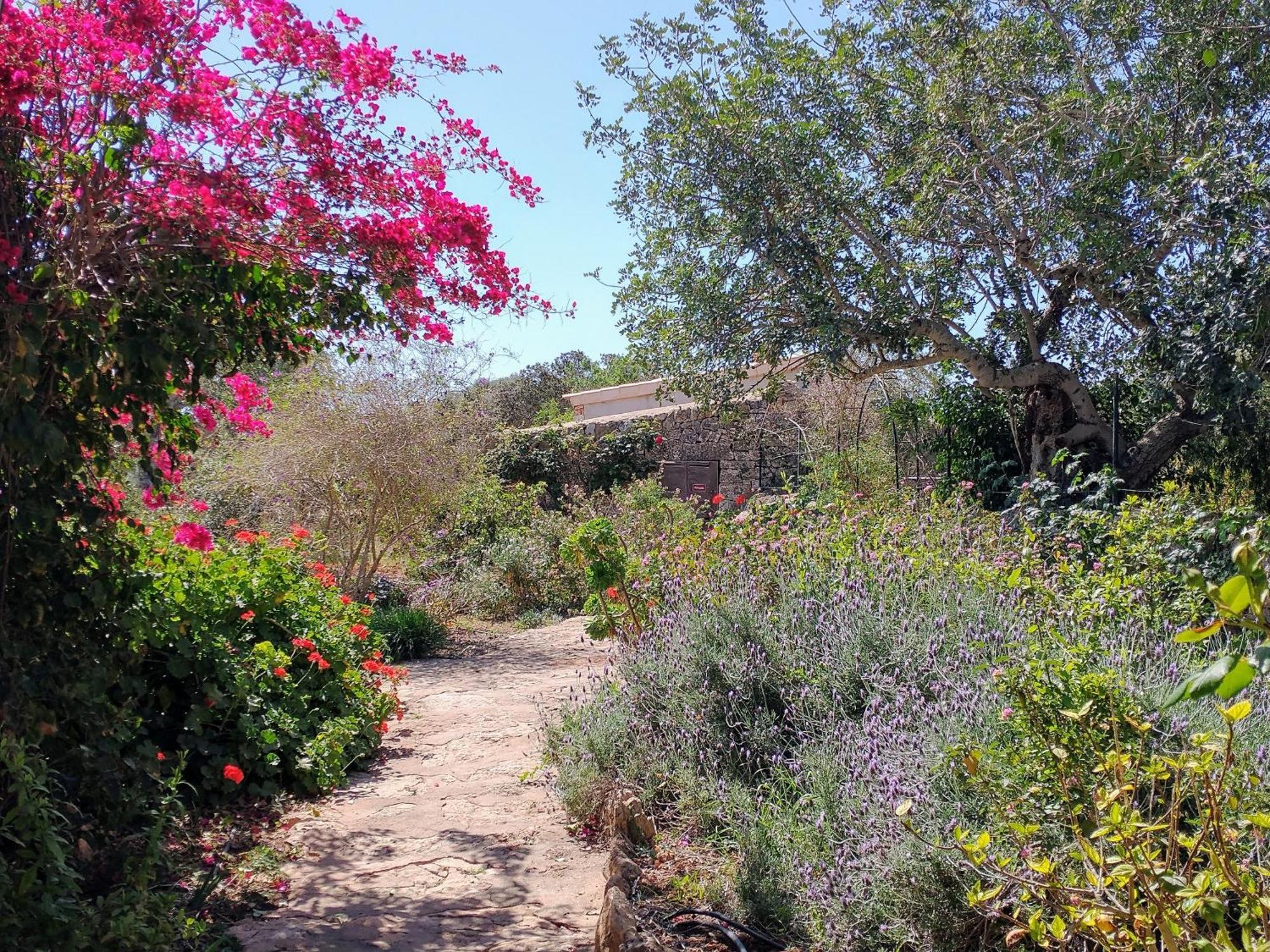Vakantieboerderij Son Marimon (adults Only)