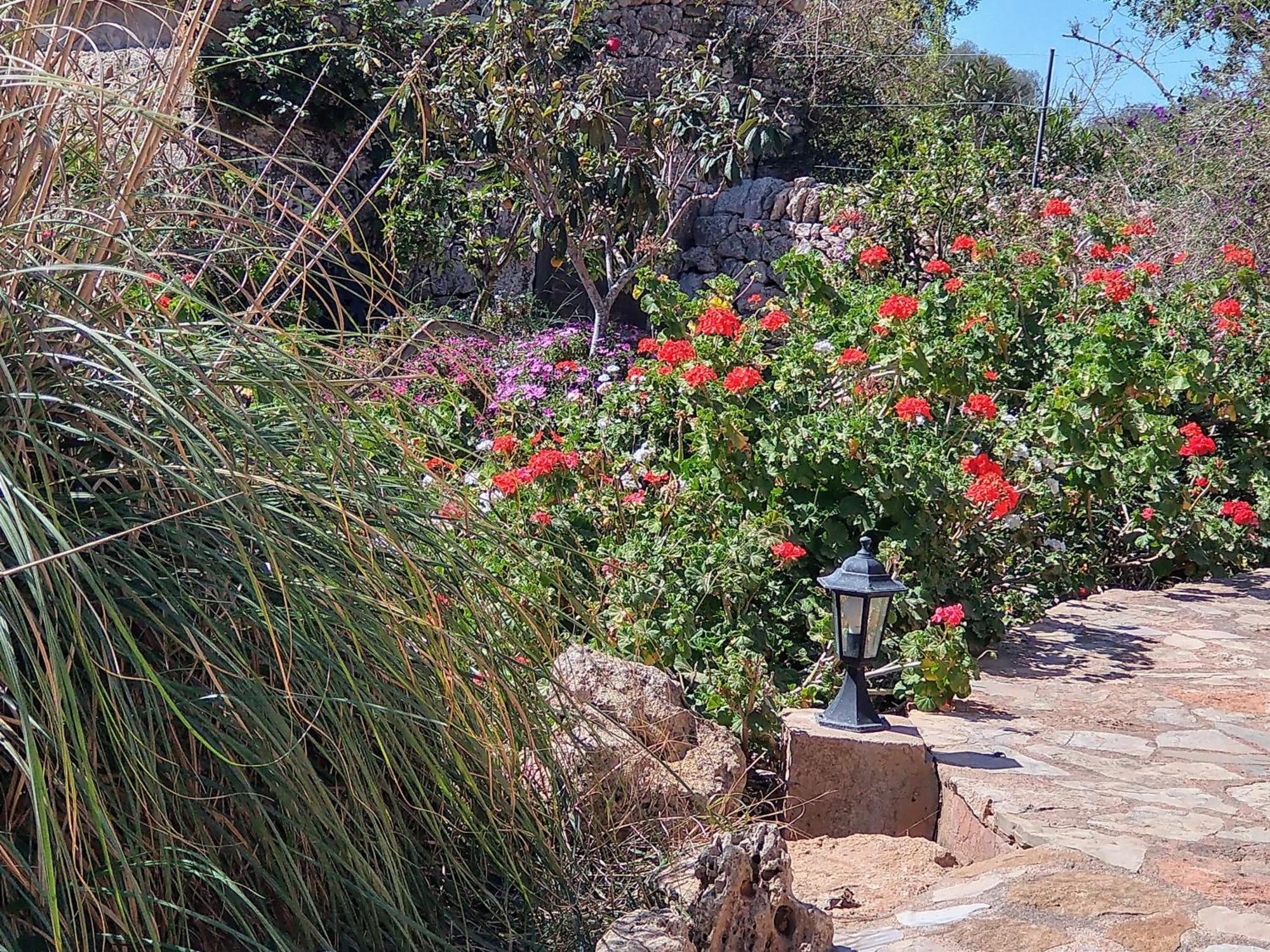 Son Marimon (adults Only) Vakantieboerderij