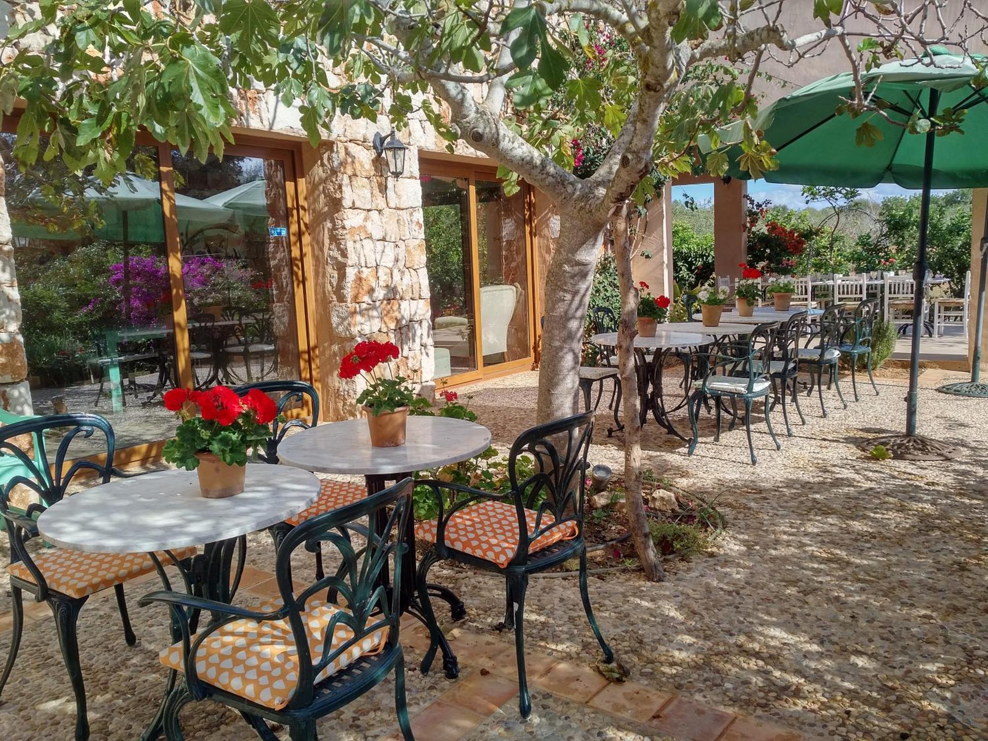 Son Marimon (adults Only) Vakantieboerderij *