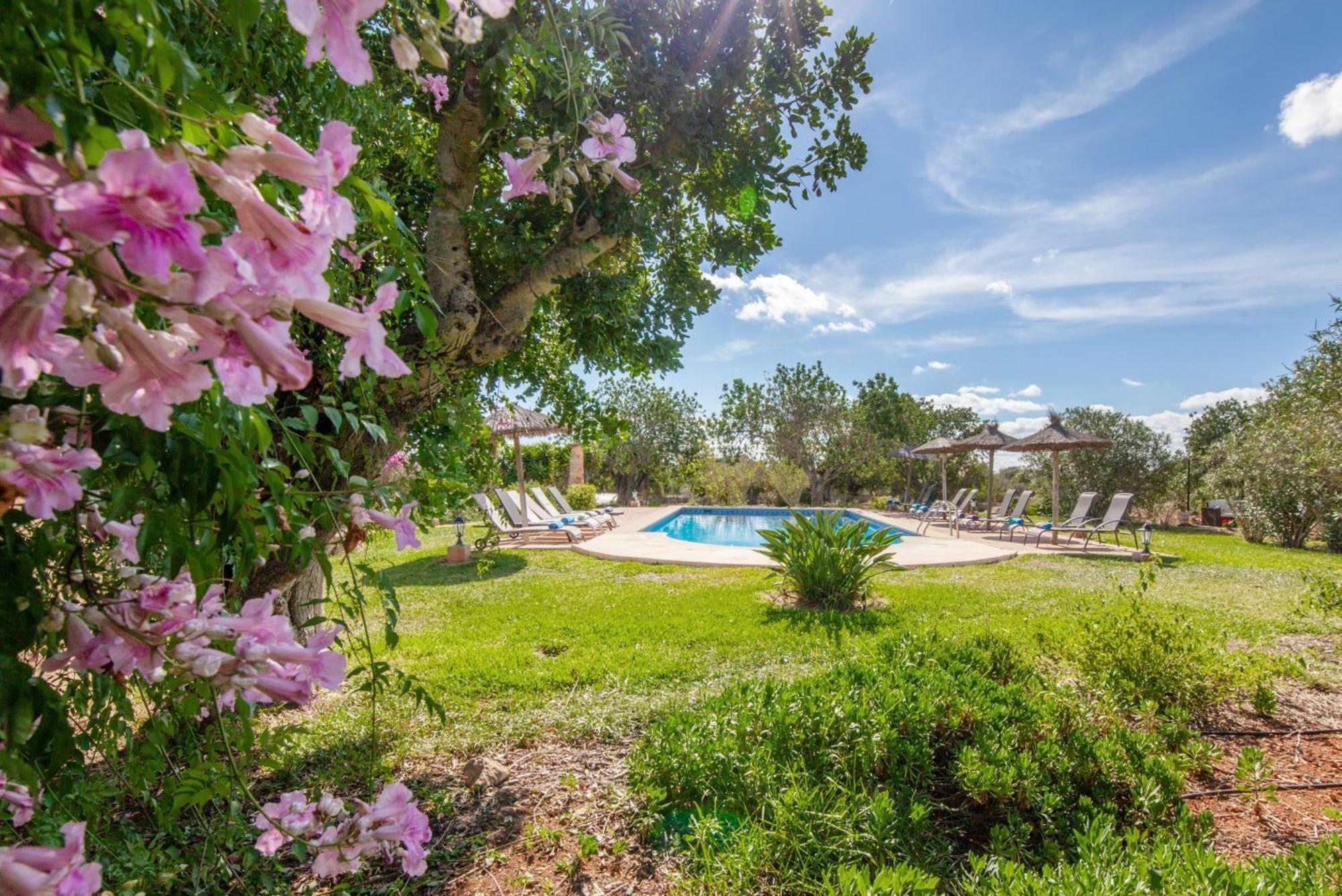 Bauernhof Son Marimon (adults Only) Santanyí
