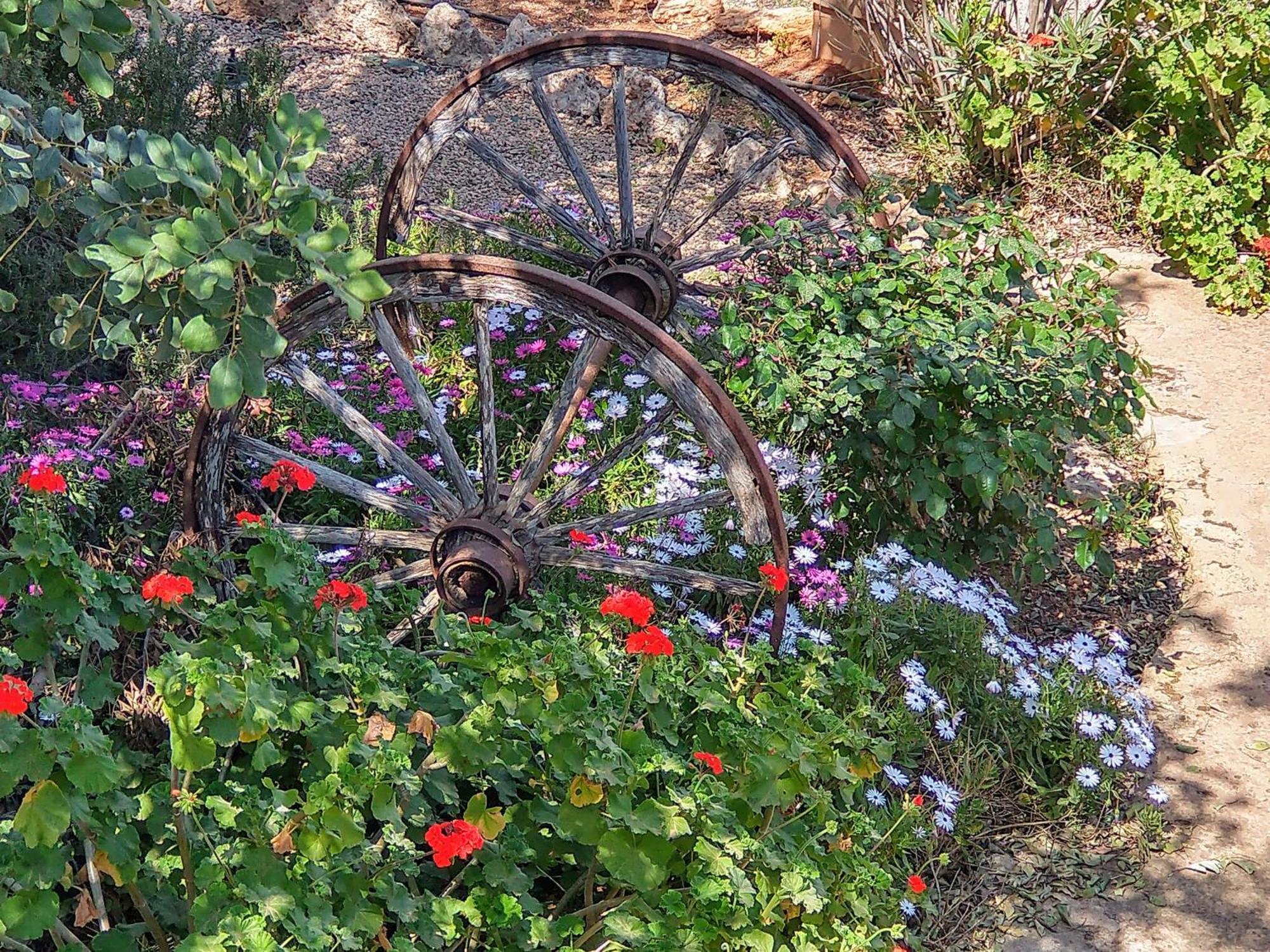 Bauernhof Son Marimon (adults Only) *
