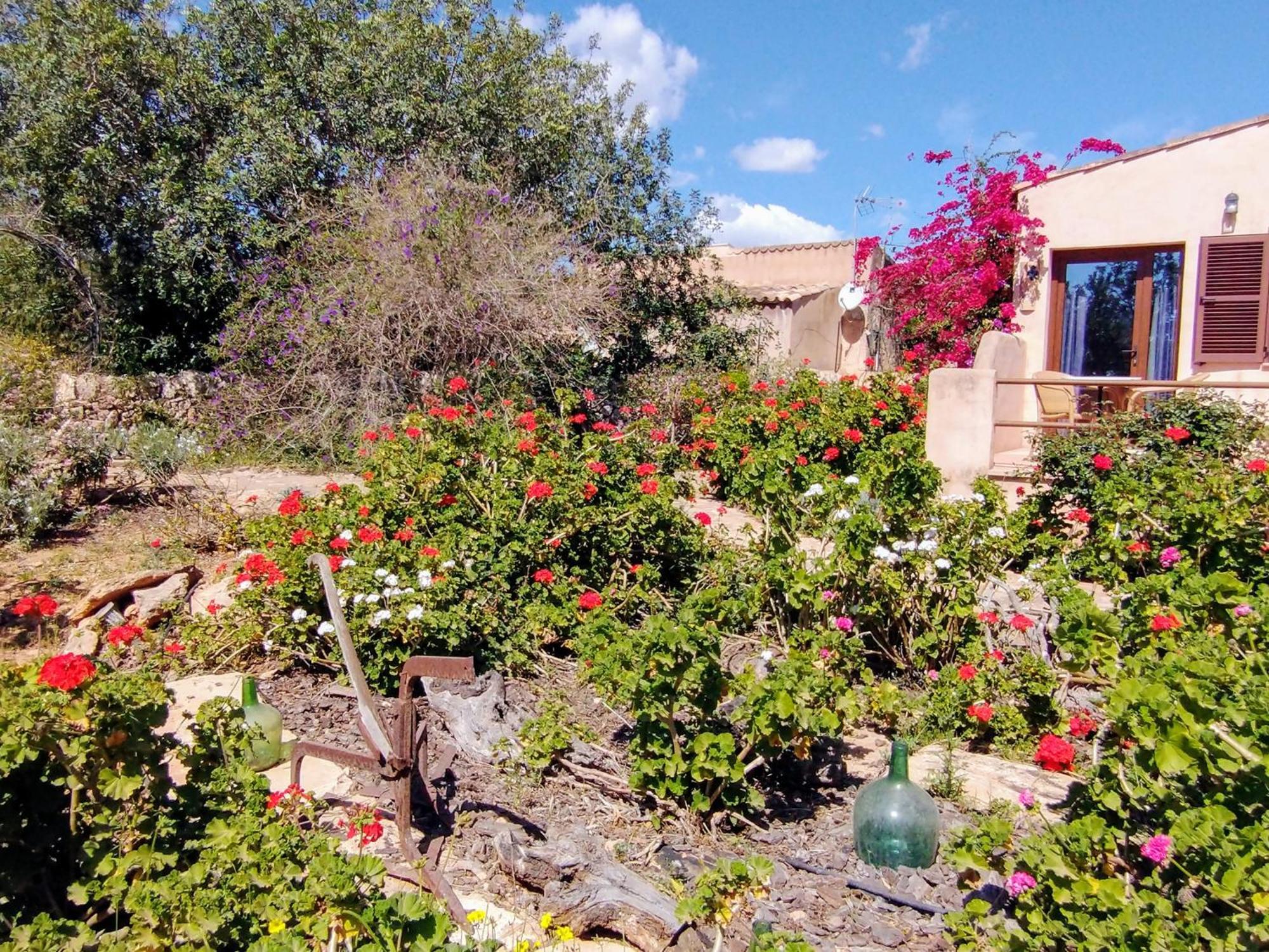 Son Marimon (adults Only) Bauernhof *