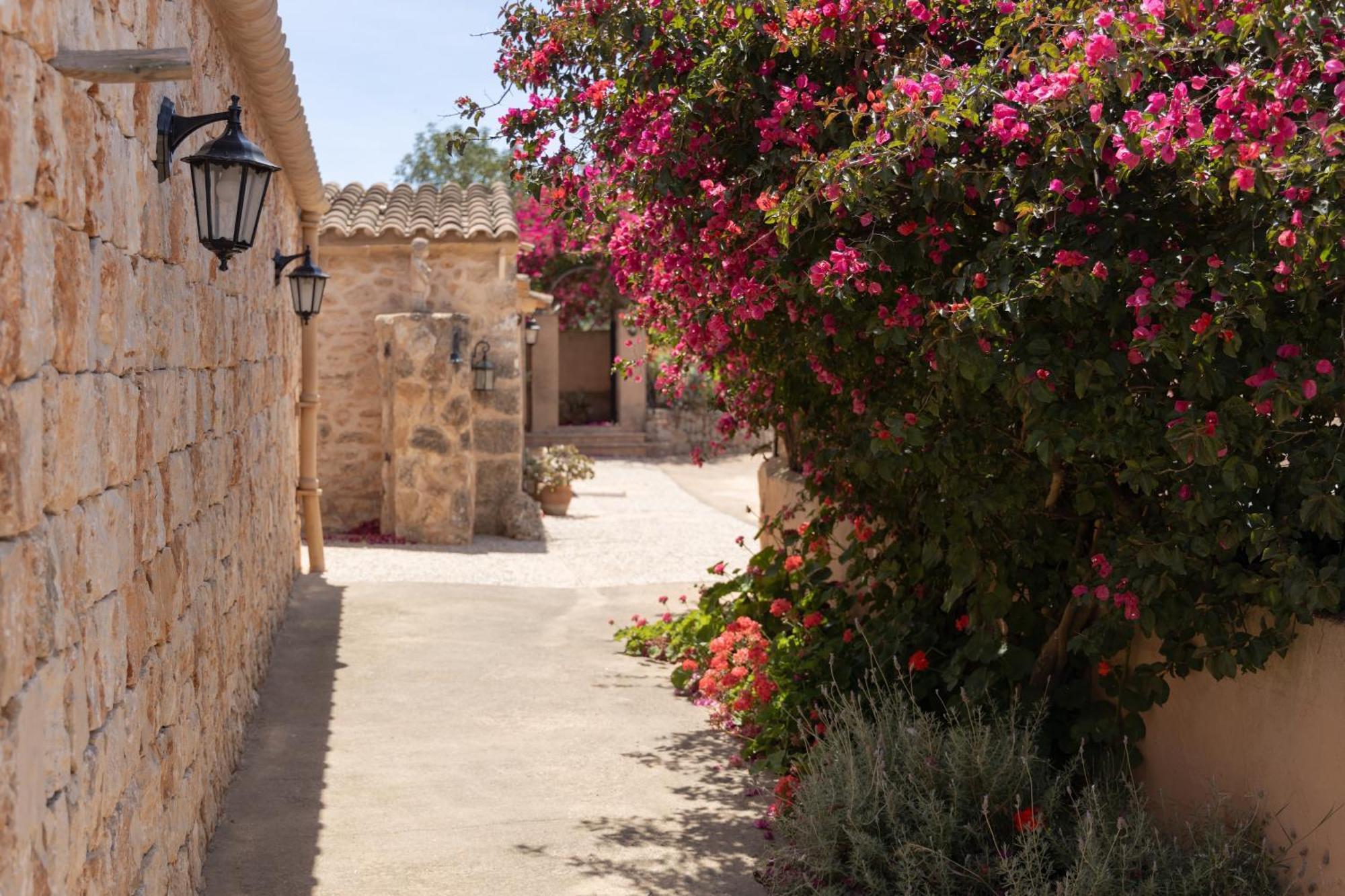 Son Marimon (adults Only) Bauernhof Santanyí