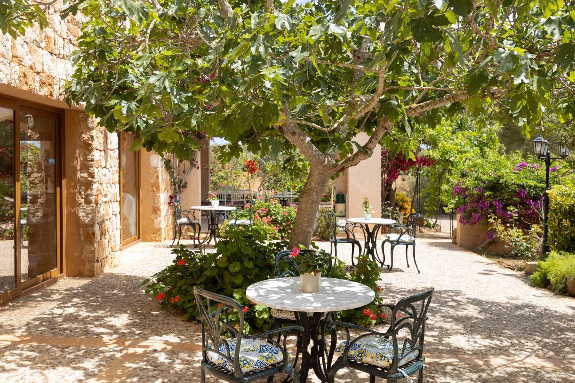 Bauernhof Son Marimon (adults Only)